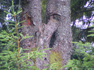 DSCF2436