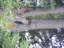 DSCF2437