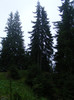 DSCF2443