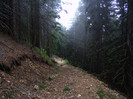 DSCF2445