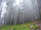DSCF2449
