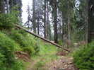 DSCF2453