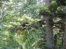 DSCF2465