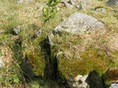 DSCF2467