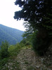 DSCF2475