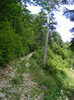 DSCF2476