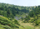 DSCF4043