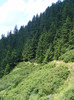 DSCF4044