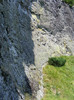DSCF4066