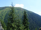 DSCF4067