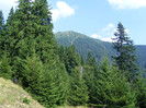 DSCF4084