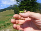 DSCF4097