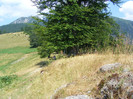 DSCF4101