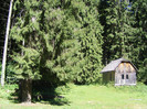 DSCF0842