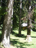 DSCF0845