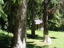 DSCF0846
