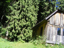 DSCF0856