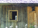 DSCF0858