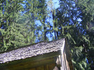 DSCF0859