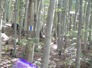 DSCF0874
