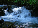 DSCF0890.jpgj