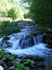 DSCF0894