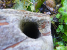 DSCF0897