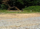 DSCF0902