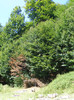 DSCF0904