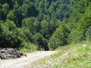 DSCF0908