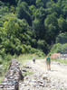 DSCF0912