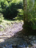 DSCF0918