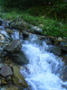 DSCF0920
