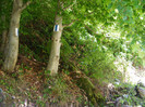 DSCF0926