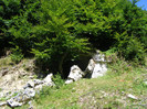 DSCF0928
