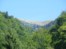 DSCF0931