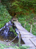 DSCF0932