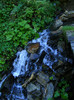 DSCF0934