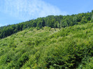 DSCF0943