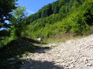 DSCF0955