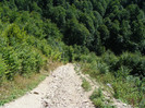 DSCF0956