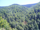 DSCF0957
