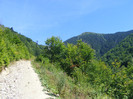 DSCF0958