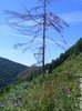 DSCF0960