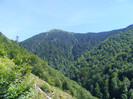 DSCF0963