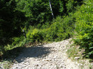DSCF0964