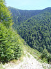 DSCF0966