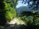 DSCF0968