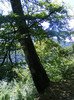DSCF0969