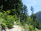 DSCF0970